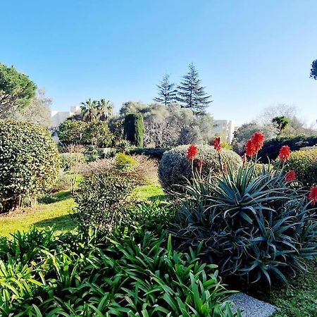 Studio Antibes Avec Piscine Zewnętrze zdjęcie