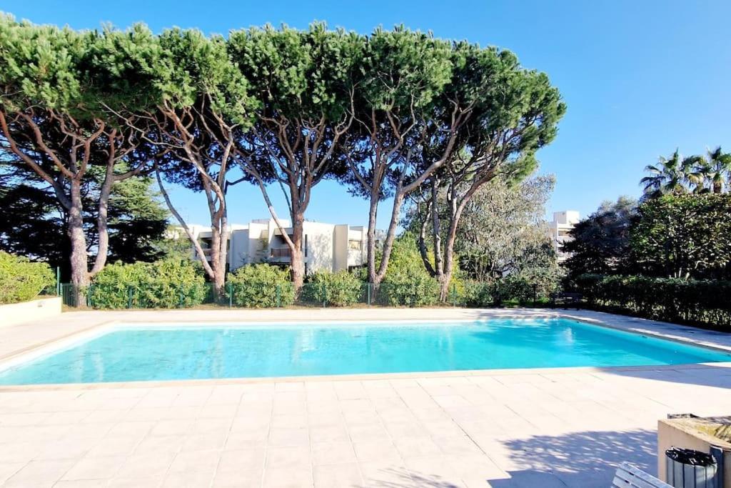 Studio Antibes Avec Piscine Zewnętrze zdjęcie