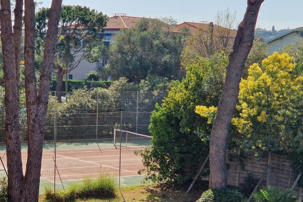 Studio Antibes Avec Piscine Zewnętrze zdjęcie